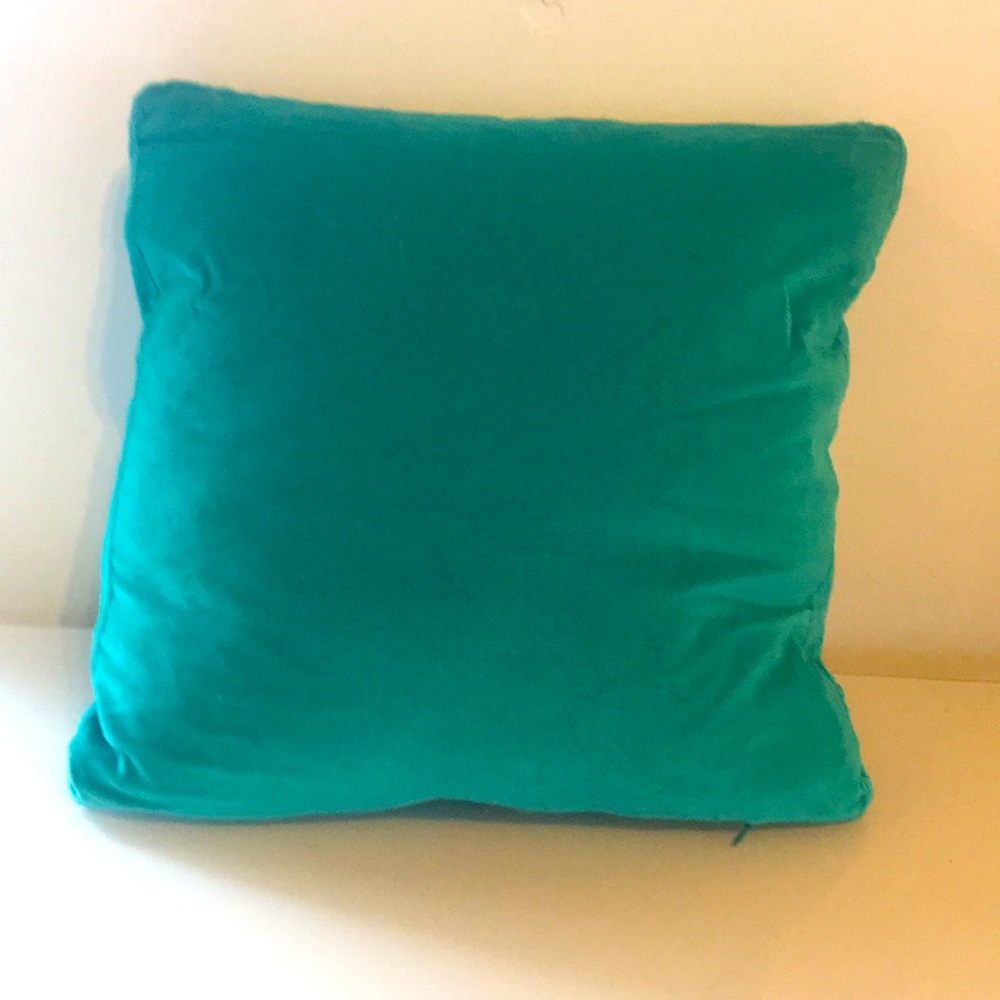 Beautiful Double Stuffed Turquoise Velvet Pillow